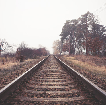 Forest Railway Track